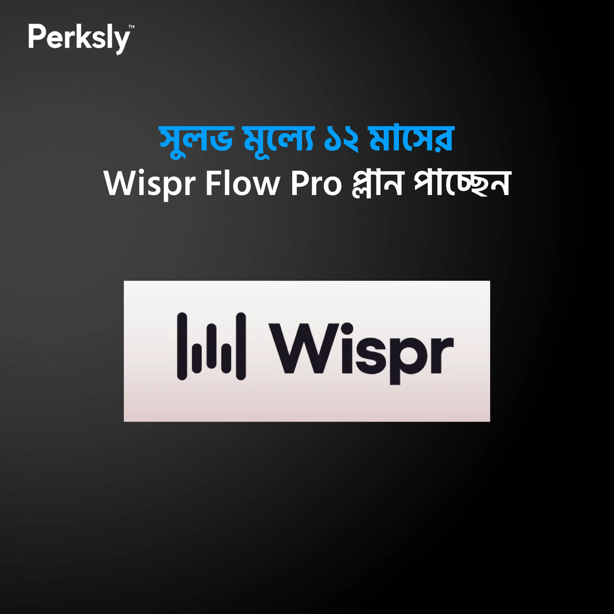 Wispr Flow Pro